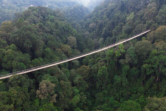 Jakarta Rainforest Hiking to Hidden Waterfall & Suspension Bridge - FAQ: Your Practical Questions Answered