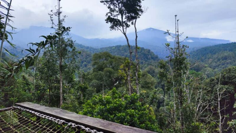 Jakarta: Rainforest Hiking to Waterfall & Suspension Bridge - Exploring the Rainforest and Waterfalls