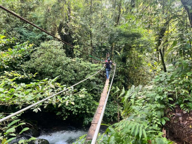 Jakarta: Rainforest Hiking to Waterfall & Suspension Bridge - Who Should Consider This Tour?