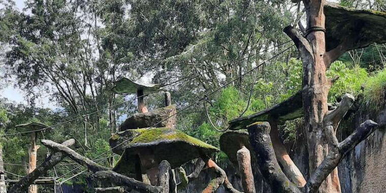 jakarta-safari-park-panda-palace-and-waterfall