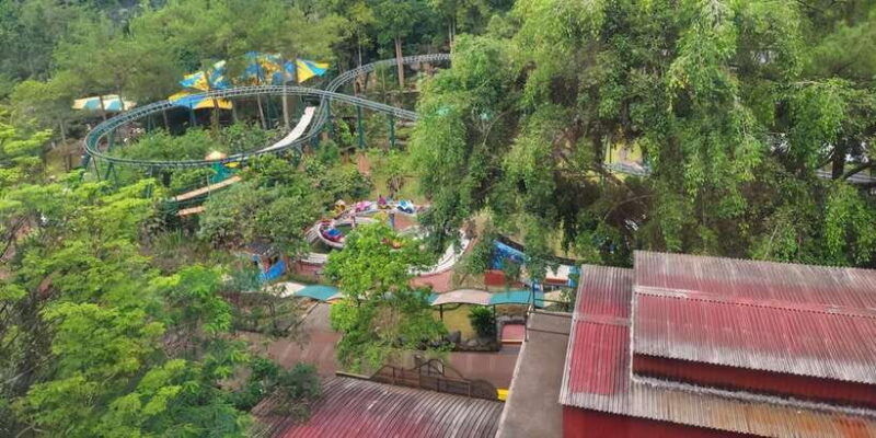 jakarta-safari-park-show-tea-plantation-waterfall