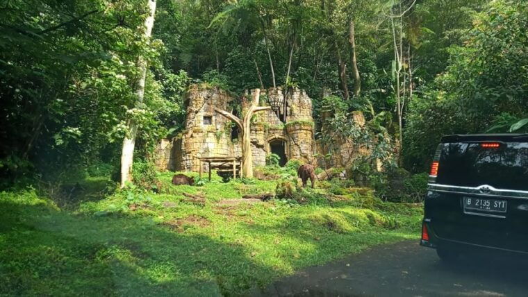 jakarta-safari-park-show-tea-plantation-waterfall