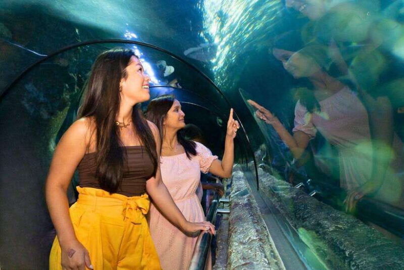 jakarta-sea-world-fantasy-world-and-ancol-dreamland-tour