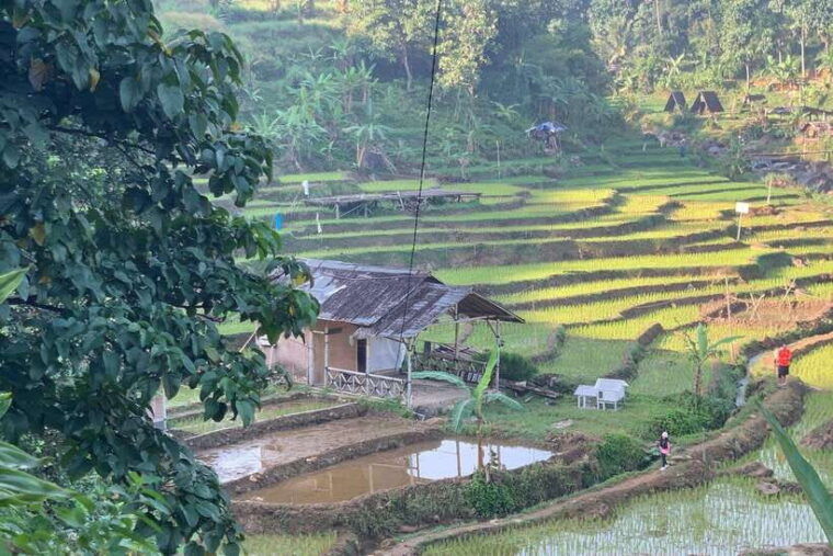 jakarta-sentul-pine-forest-and-waterfall-trekking-tour