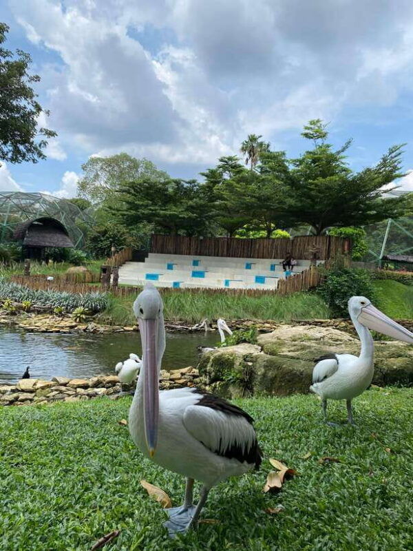 jakarta-setu-babakan-and-taman-mini-indonesia-indah-tour