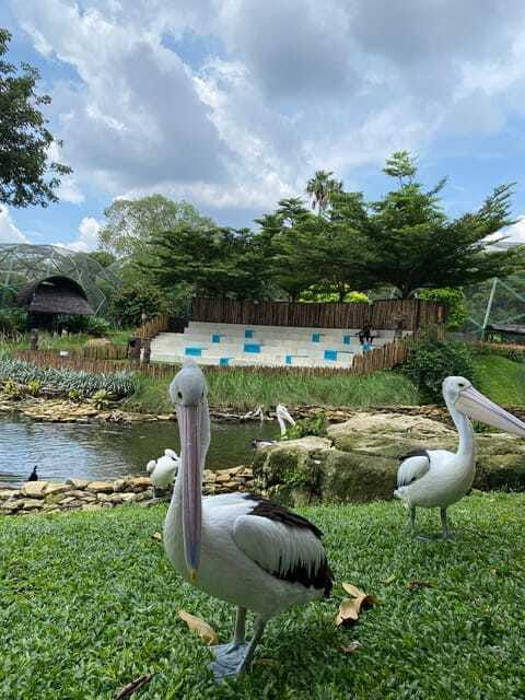 jakarta-setu-babakan-and-taman-mini-indonesia-indah-tour