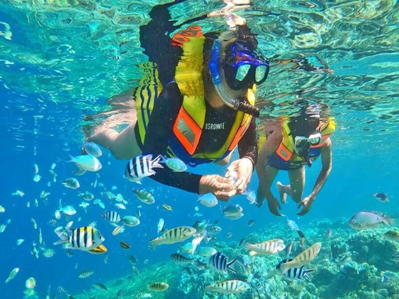 jakarta-thousand-island-similar-to-bali-island-tour