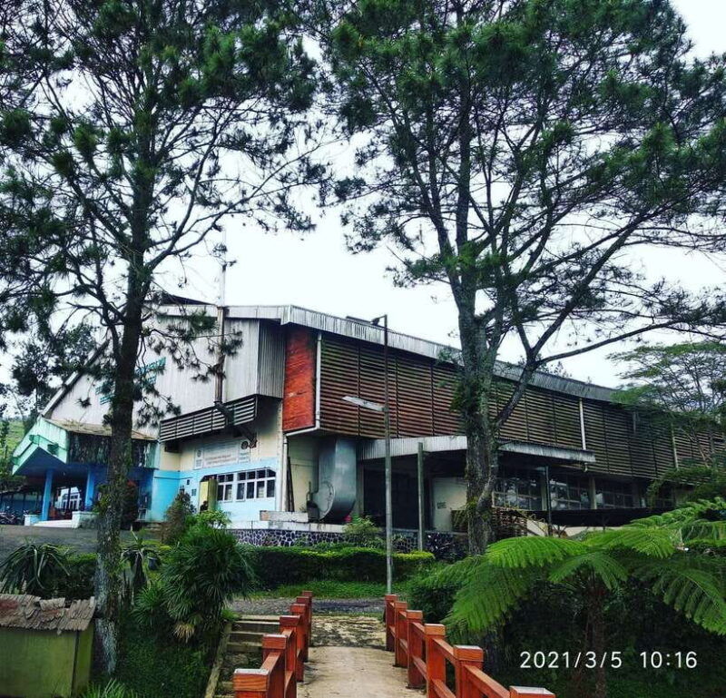 jakarta-volcano-hot-spring-tea-rice-fields-coffee-tour