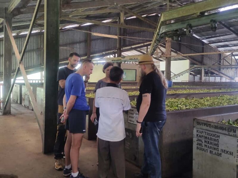 Jakarta :Volcano, HotSpring, Tea Factory, RiceField, &Coffee - FAQ