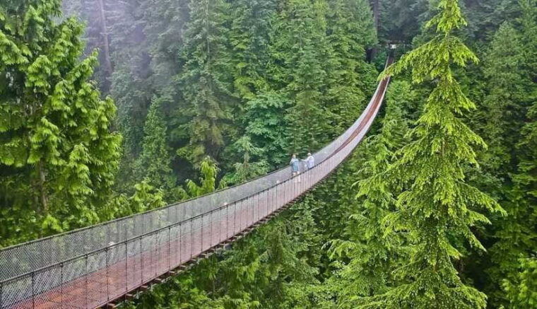 jakarta-volcano-suspension-bridge-and-hot-spring-tour