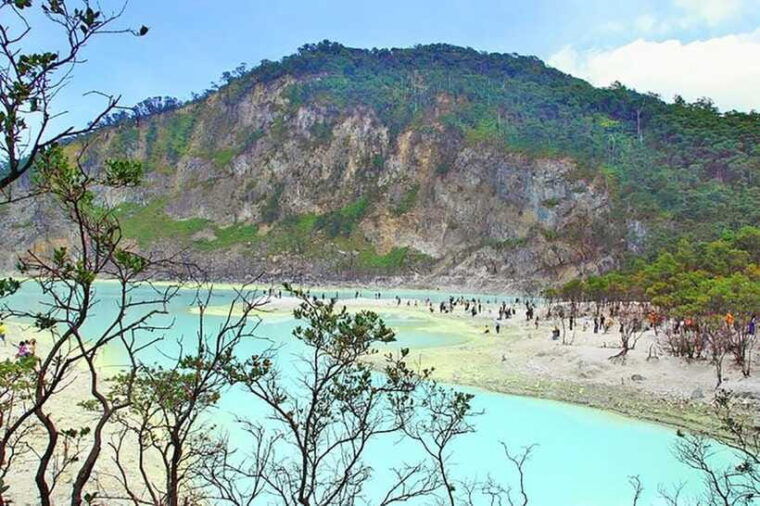 jakarta-white-crater-tea-plantation-by-fast-train
