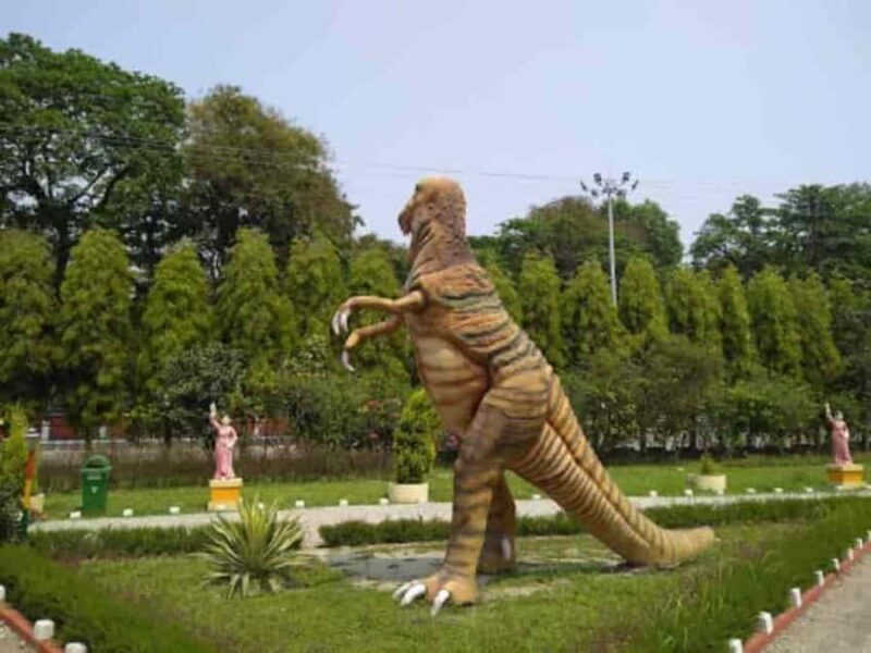 Jalpaiguri: Full-Day Private Tour with Tea Estate Visit - Who Would Love This Tour?