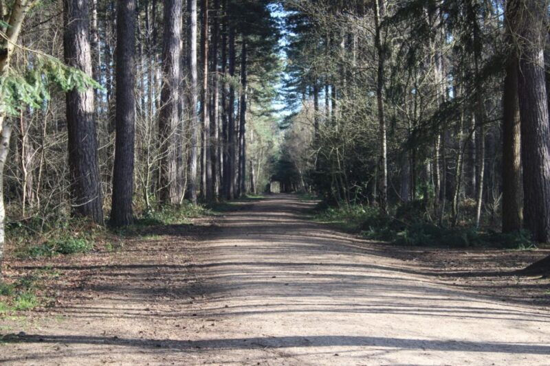 james-bond-classic-tour-from-london