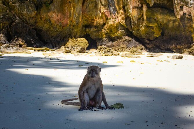 James Bond Island and PhangNga Bay Tour by Speedboat - Who Will Love This Tour?