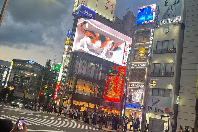 japan-5-days-private-tours-all-included-at-tokyo-osaka-kyoto-nara