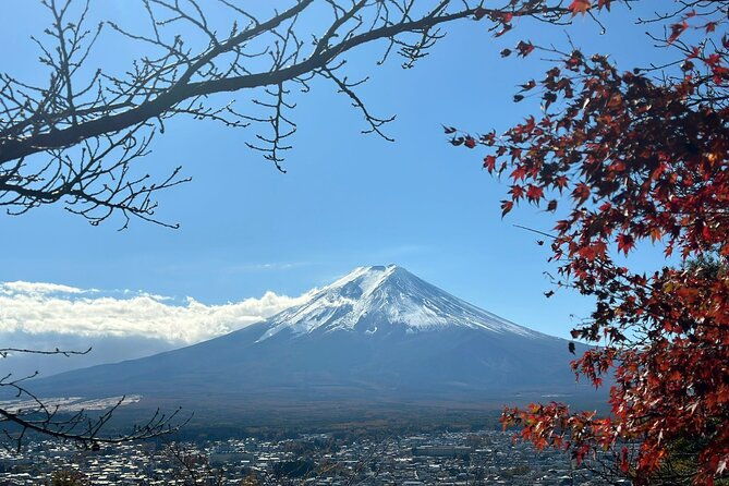 japan-5-days-private-tours-all-included-at-tokyo-osaka-kyoto-nara