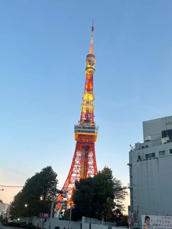 Japan: 6-Day Private Guided Tour with Accommodation - An In-Depth Look at the 6-Day Japan Tour