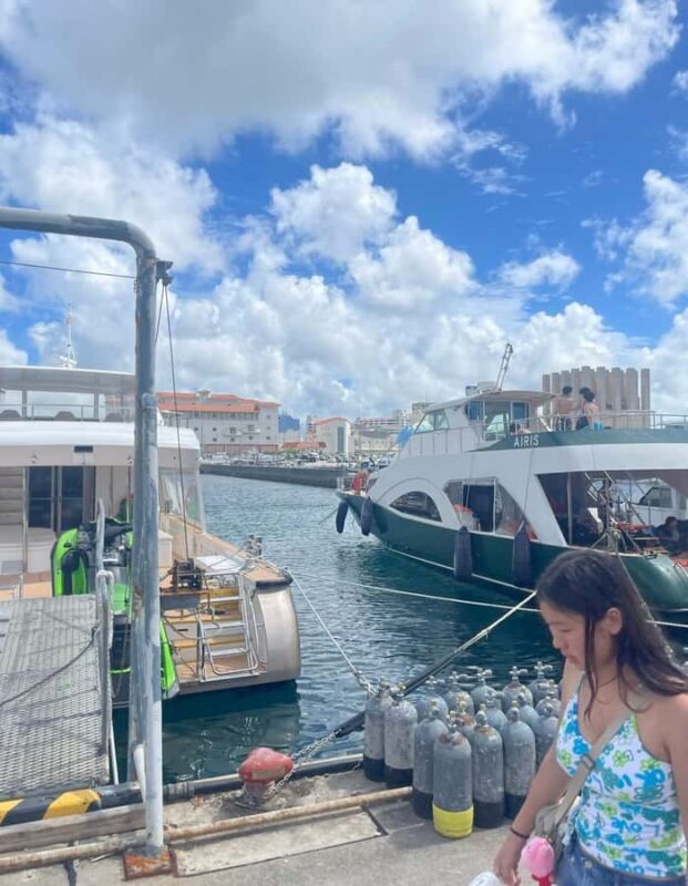 Japan: 7-Day Tour of Tokyo, Osaka, Kyoto & Hiroshima - Returning Home: The End of Your Journey