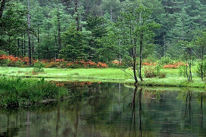 Japan Alps [Kamikochi Day Tour]Roundtrip from Nagoya - FAQs