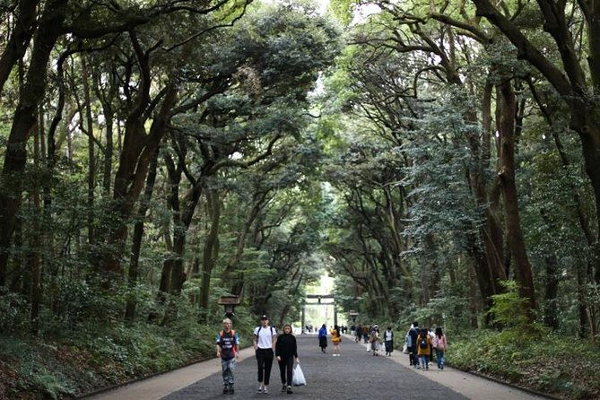 japan-discovery-tour-12-days