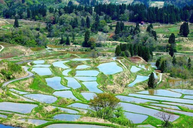 japan-discovery-tour-12-days