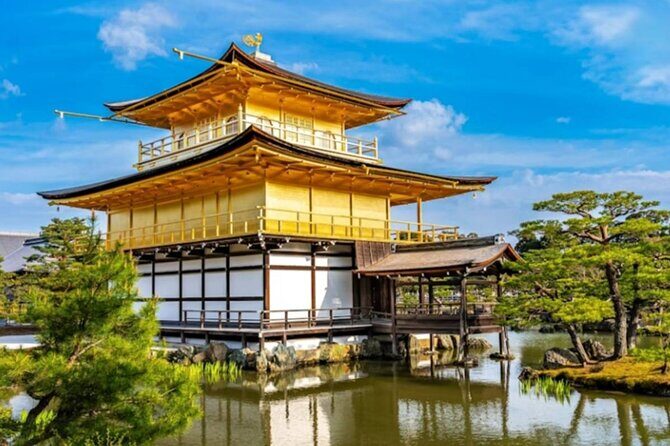 Japan Golden Route 7 Day Budget Tour - Authentic Experiences and Guides