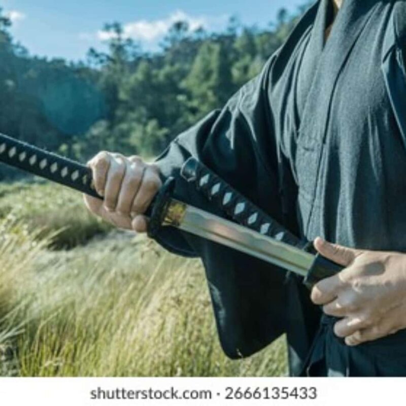 Japan: Samurai Sword Tour with Museum Visit - Exploring the Japan: Samurai Sword Tour with Museum Visit – a Unique Cultural Experience in Zanzibar