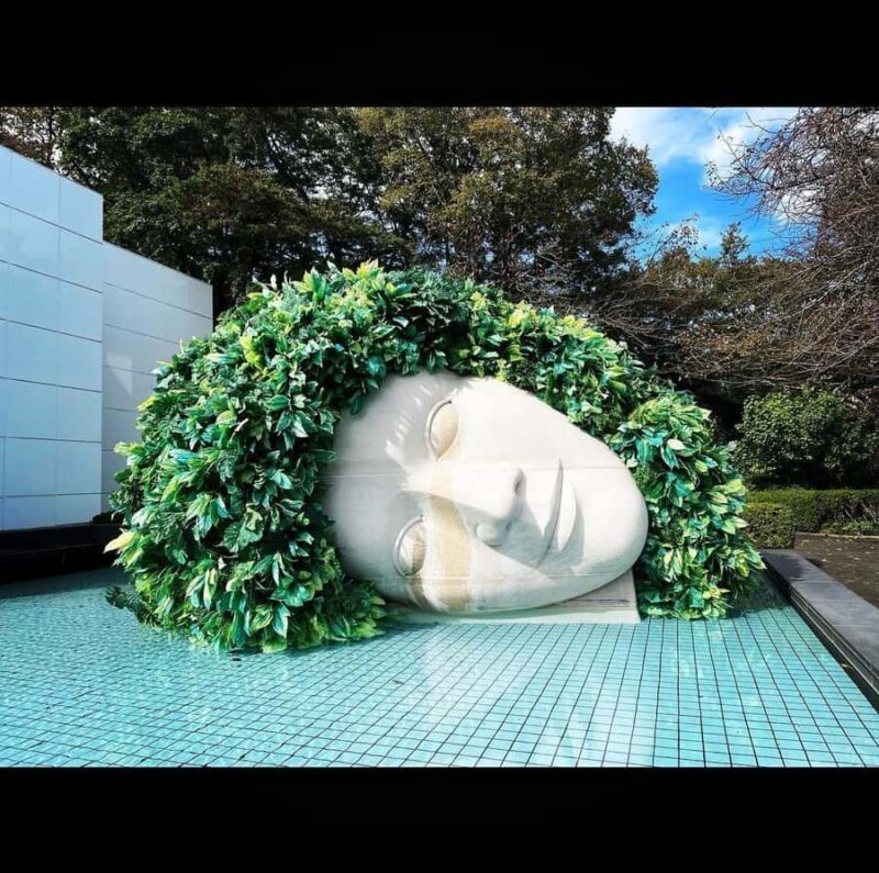 Japan: Special Tour for Couples, Mt Fuji Tokyo - Final Thoughts