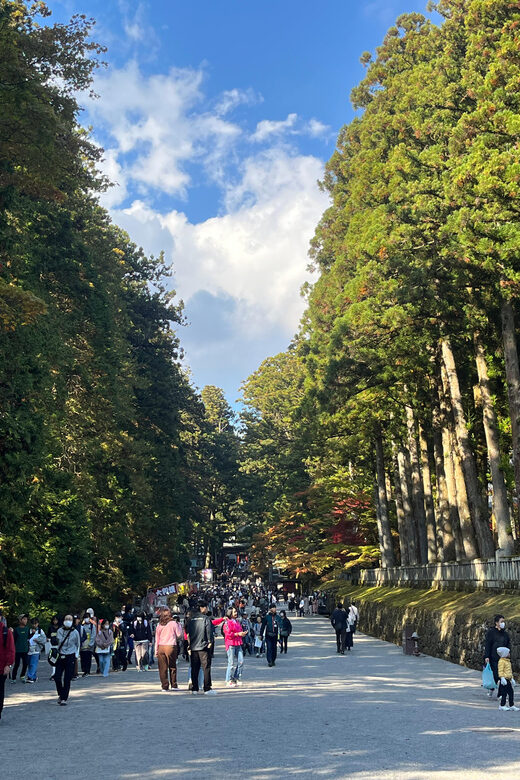 Japan: Tokyo and Countryside Private Tour with Guide - Practical Details and Tips