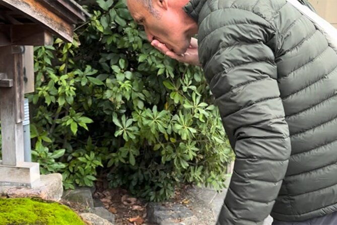 japan-wellness-a-tour-of-four-springs-and-temple-yoga-in-kyoto