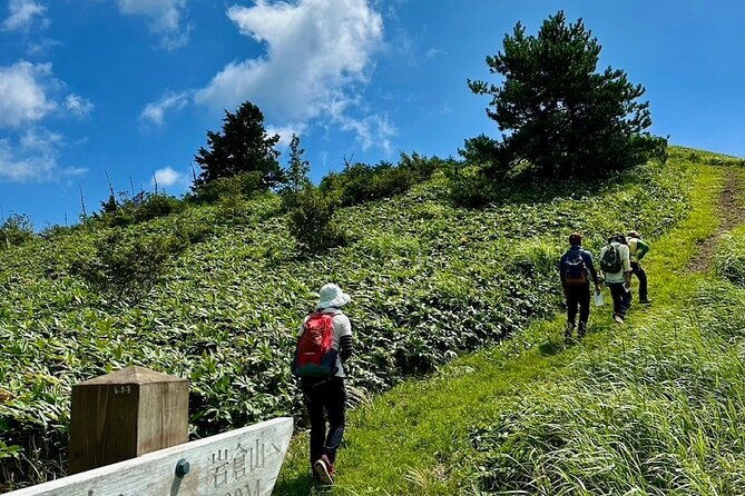 japan-wellness-hiking-and-matcha-with-a-monk-in-hiroshima