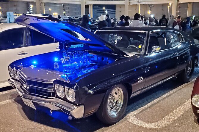 Japanese Car Meet JDM Culture Tour in Daikoku - Who Is This Tour Best For?