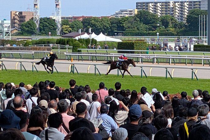 Japanese horseracing private tour with a local expert! - FAQ