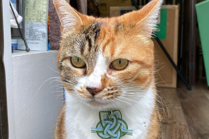 japanese-paper-notebook-and-mizuhiki-belt-and-bookmark-workshop