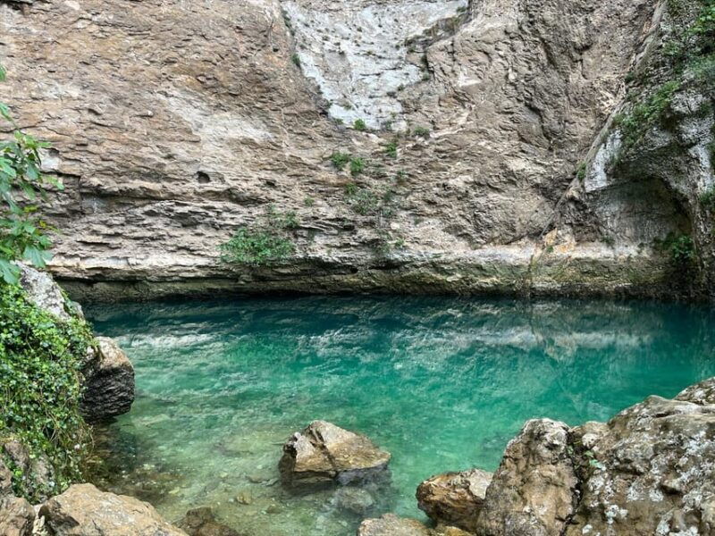 japanese-speaking-guide-in-the-luberon