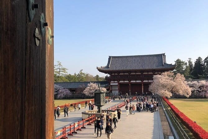 Japanese Tea Ceremony & Japanese-Style Lunch Served by Airline - Final Words