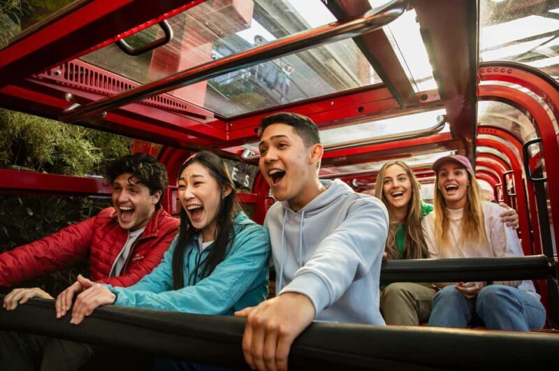 Japanese Tour from Sydney: Blue Mountains, Scenic World, Zoo - Detailed Breakdown of the Itinerary