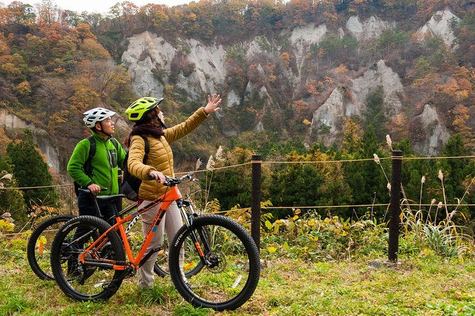 japans-original-scenery-gourmet-and-shopping-course-of-satoyama