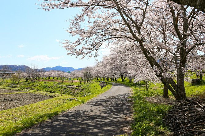 japans-rural-life-nature-private-half-day-cycling-near-kyoto