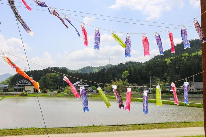 japans-rural-life-nature-private-half-day-cycling-near-kyoto