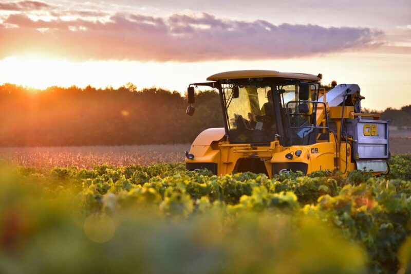 Jarnac-Champagne: Tour at Château Montifaud Cognac ENG - FAQ