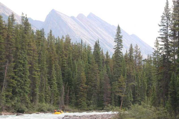 jasper-national-park-sunwapta-river-white-water-rafting