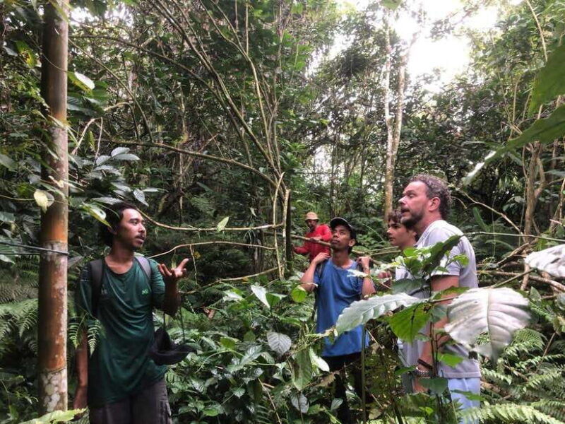 jatiluwih-highlights-trekking-best-bali-nature-cultural
