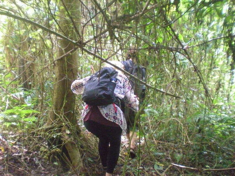 jatiluwih-highlights-trekking-best-bali-nature-cultural