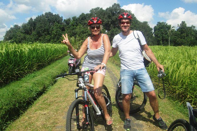 Jatiluwih in detail (1 h. e-bike tour in the rice terraces) - An In-Depth Look at the Jatiluwih E-Bike Tour