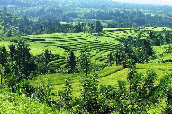 Jatiluwih in detail (1 h. e-bike tour in the rice terraces) - Final Thoughts