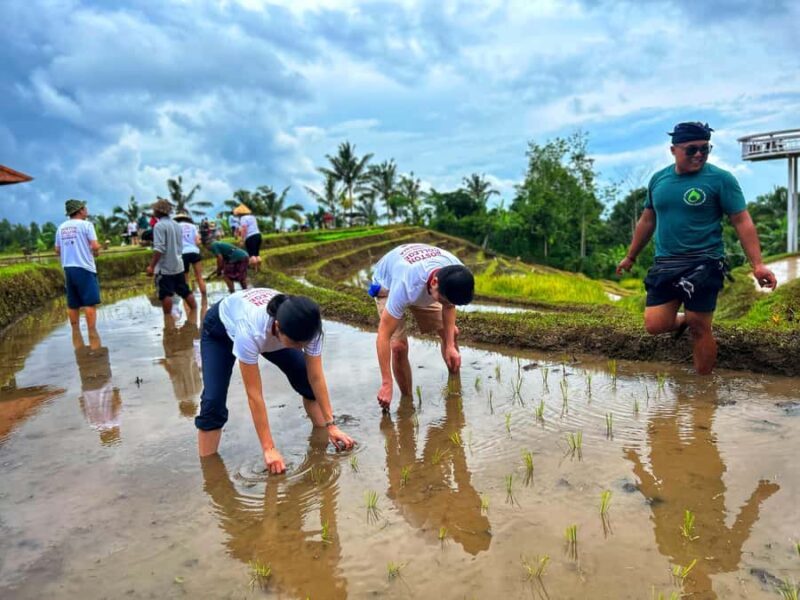 Jatiluwih Nature and Wellness Day Tour - Frequently Asked Questions (FAQs)