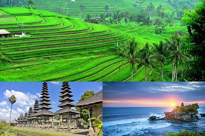 Jatiluwih Rice Terrace & Tanah Lot Tours - Key Points