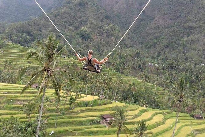 Jatiluwih rice terraces,ulundanu and sekumpul waterfall trips - Who Should Book This Tour?