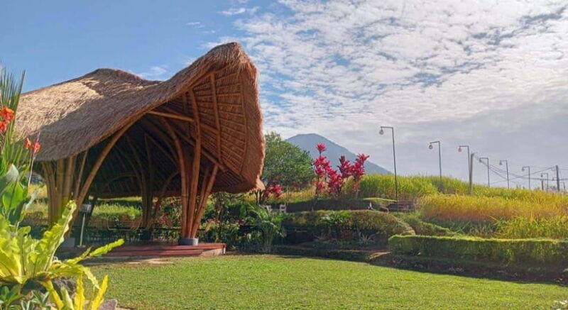 jatiluwih-trekking-cycling-and-cooking-class-in-jatiluwih